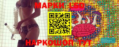 гашик Сланцы