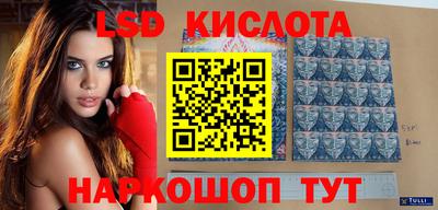 гашик Сланцы