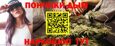 гашик Сланцы