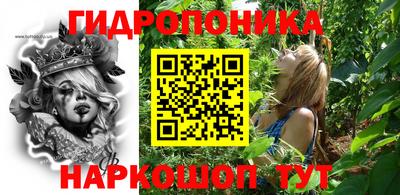 гашик Сланцы