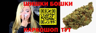 гашик Сланцы