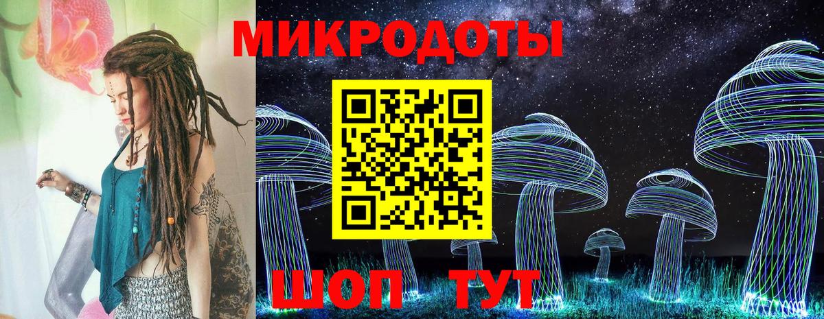 Псилоцибиновые грибы Cubensis Подольск