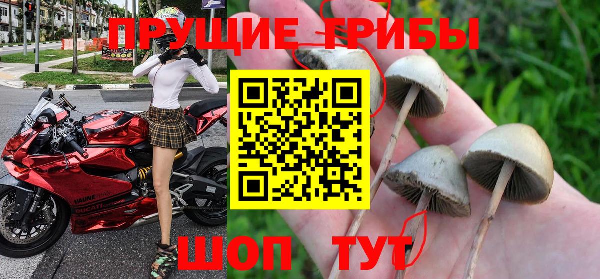 Галлюциногенные грибы Psilocybine cubensis  Вход с VPN  Подольск  Псилоцибиновые грибы мухоморы 