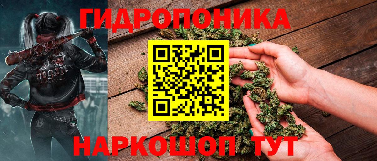 Бошки Шишки планчик  МАРИХУАНА индика  Подольск  МАРИХУАНА Ganja  Вход с VPN 